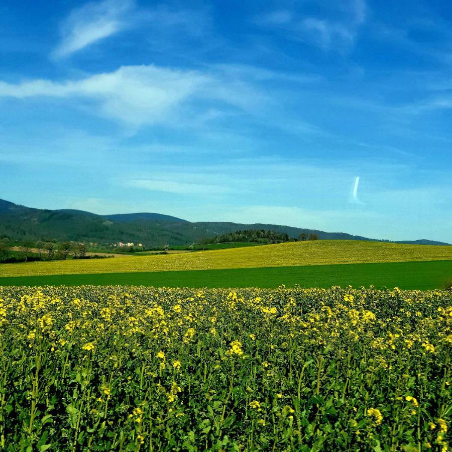 Agroturystyka Sielska Kraina Зомбковице-Слёнске Экстерьер фото